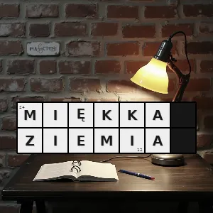 Hasło krzyżówkowe grząski - miękka ziemia – rozwiązanie, synonimy, podpowiedzi i definicje krzyżówkowe